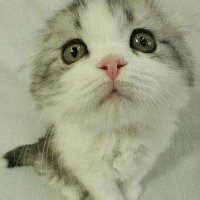 OneOneOne直播_OneOneOne直播_OneOneOne热门网游直播_OneOneOne斗鱼直播