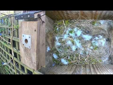 A day in less than a minute - 20260408