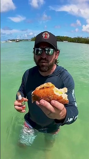 🏝️ Every Florida adventure deserves a little extra spice! 🌶️
