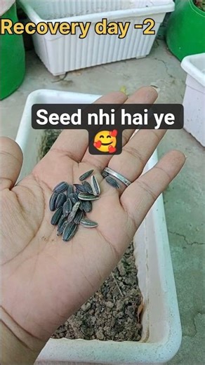 Jaruri Nhi Ki Socha Hua Hi Humesa Ho ..#youtube #garden #ytshorts #shortvideo #plants #farming
