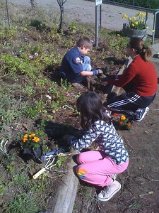 Things to Know: Library Offering Free Interactive Music Class