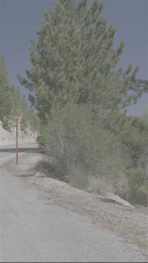 C7 Z06 Corvette flyby and Ferrari F12 V12 ripping to 7500rpm
