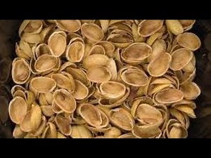 Pista shell 5 crafts