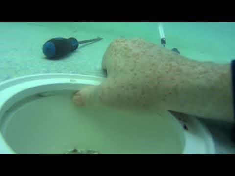 Find Pool Leak how to with Dye Test And Fix With Pool Putty D.I.Y