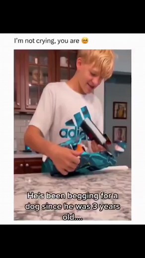 Cute and Funny Dog Compilation to Make You Smile