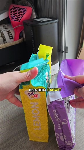 Rekomendasi Pasir Kucing Tofu untuk Pet Lover