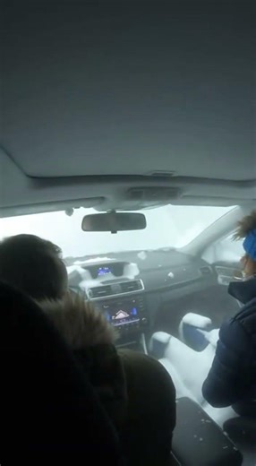 Avalanche Hits Without Warning — Inside a Real Mountain Disaster