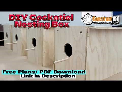 DIY Cockatiel Nesting Box | Free Plans | PDF Download