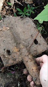 3.8K reactions · 35 shares | Un bellissimo ritrovamento tra le linee difensive tedesche del centro Italia , si tratta di un badile italiano in dotazione al Regio Esercito durante la prima guerra mondiale e la seconda 殺⛰️. #mountains #ww2 #history #metaldetecting #italia #nature #mountains #german #italy #discovery #viral #shovel #militaryhistory #militar #fy #fypage #incredible #story #share #live #metaldetectingfinds #italian | Italy Hunters Metal detecting | Facebook