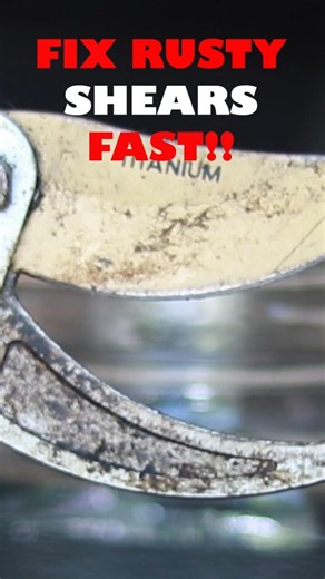 How to Make Rusty Garden Shears Look BRAND NEW!