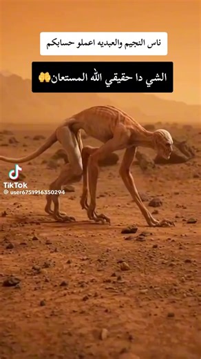 Gsbsh Sbbs (@gsbsh.sbbs)’s videos with original sound - Ali