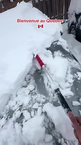 🤣❄️🤣 | Les Français qui vivent au Québec