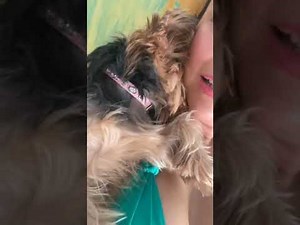 Live Aracely Arambula 23/04/2020