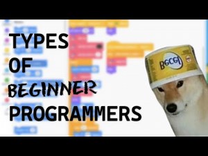 5 Types of BEGINNER Programmers