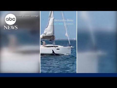 'Oh my God!': Orcas attack, sink another boat