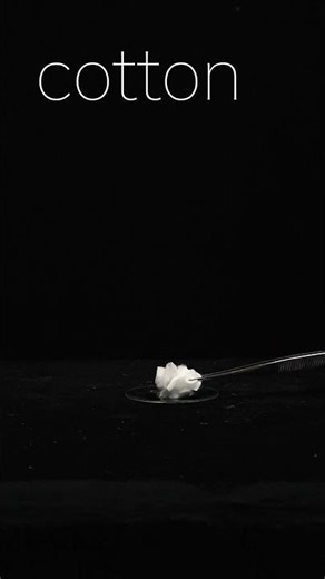 今日の実験! Daily experiment! #experiment #shorts