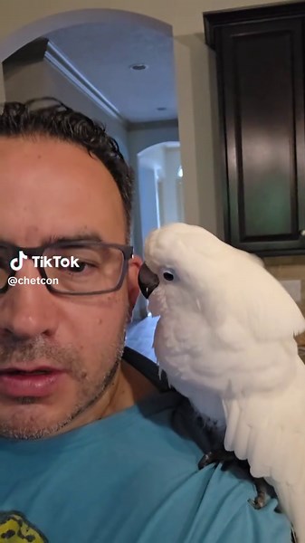 Morning Coffee with Chet: A Talking Cockatoo