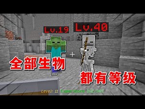 Minecraft: When is the MC player and all creatures have levels?