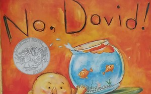 【Honey阅读】淘气孩绘本故事：No, David 不，戴维！