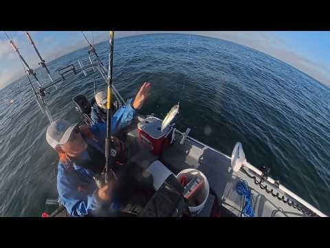 Hitting Central Coast for the halibut bite. The big mackerels are here.