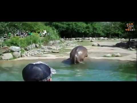 Can You Do This? - Hippo Poo Storm