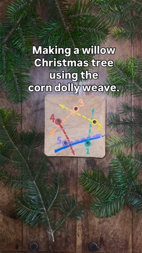 The Coddiwomplers on Instagram: "These willow Christmas trees are a joy to weave and are lush when lit up. A perfect, quick and easy willow project for Christmas. #willow #willowcrafts #Christmascrafts #willowdecoration #christmastree"