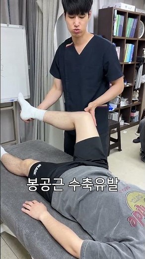 대퇴직근 짝궁 봉공근 비복근 복직근 (4) #근육 #건강 #운동 #재활