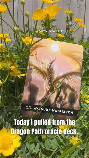 1.2K views · 36 reactions | ☀️   #oraclecards | My Witches | Facebook