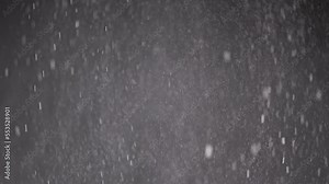 Falling Mixed Particles, Snowfall, Dust, Debris, Powder on Black Background. Whirlpool flying particles of white snow, snowflakes, flakes rotate in cloud fog. Blizzard, star rain. Space. Abstract.