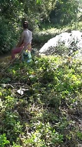 1.2M views · 19K reactions | Exciting Fishing Video, Used a Pump to Suck Up All The Water In The Lakes, Harvesting A Lot Of Fish #fishing #luongthitu #fishingtechniques | Collection | Facebook