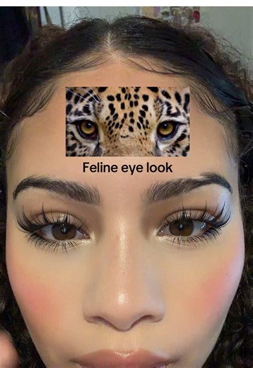 KeyYou Fairy lash cluster tutorial!! #keyyou #lashesonlashes #lashtutorial #lashclusters #beautycreator