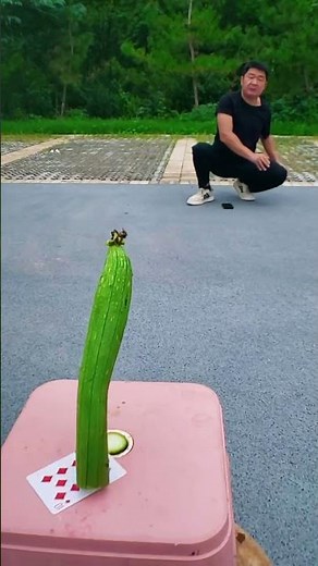 💥✨Crazy Floating Ball Illusion 😱 | Mind-Blowing Outdoor Perspective Trick! 🧠✨ #ViralShorts #trick