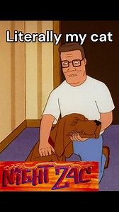 268K views · 6.1K reactions | Literally my cat. Well, that cat died...