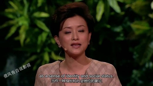 演讲与口才：中国唯一登上TED演讲的中国女性，杨澜
