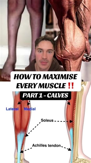 How to Maximise Every Muscle series! Calves first. Will try go from bottom to top. This is maximising, not practical advice for most people. Just a neutral calf press partial will do fine for growing the calves 👍 *I meant altering not alternating near the end.