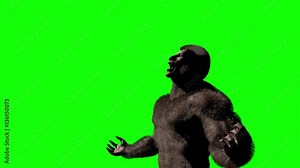 Werewolf Transformation (Green Screen)