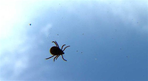 Merritt father warns others after medical emergency involving his young son