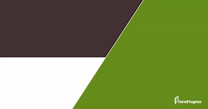 Optimize your irrigation system for peak performance!💧🌾 Download our FREE guide for checklists, tech tips and more: https://pgs.farmprogress.com/irrigation-best-management-practice-v1?code=CRPFB3D1 | Farm Industry News