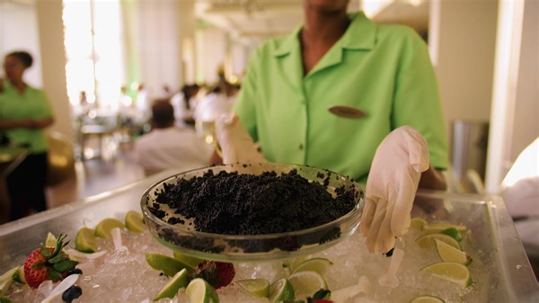 Embark on a global culinary journey at LIME 2024! Indulge your senses with a feast of over 28 unique Food Stations and 31 Beverage Stations, with a dazzling array of more than 12 different champagne varieties. Distribution of access cards begins January 26 at the hotel. Visit www.hyattlime.com. | Hyatt Regency Trinidad