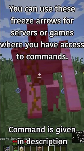 Make FREEZE ARROWS With Commands in Minecraft Java! #minecraft #mctutorial #minecraftcommands