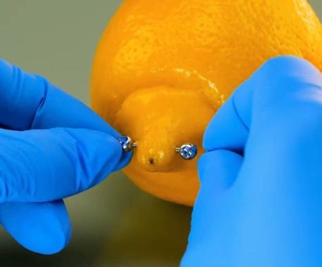 The art of the needle! Exploring different piercing techniques! | 5-Minute Recycle