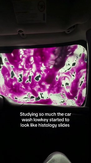 Epithelial Tissue: Exploring Anatomy and Histology