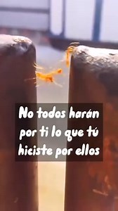 😀👌 | Linney Dominguez