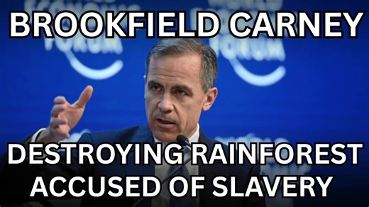 .coel (@.coel2)’s videos with original sound - .coel