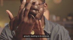 Giant Python Seized in New York