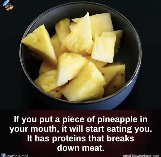 Health Benefits of Bromelain in Pineapple