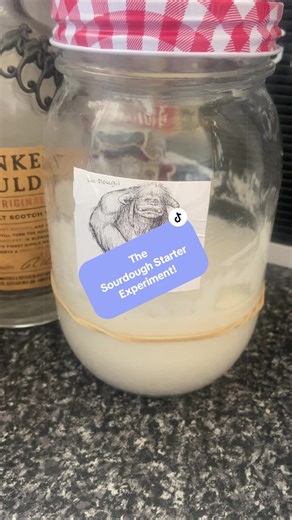 Maybe i’ll make a loaf from each and see?! What do you do to get the best out of your sourdough starter? Follow the guidelines? Wing it? Neglect? Fridge it and forget about it? #sourdough #sourdoughstarter #experiment #ludough