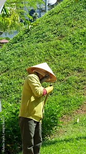 Asia poor man vietnamese hat cleaning streets cleaner cleaning park. Vietnamese cleaner in the park