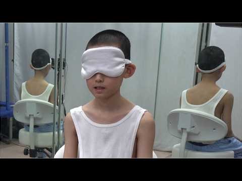 8100 digits of pi recited blindfolded by 11-year-old Hero Vietson with verified 360° view