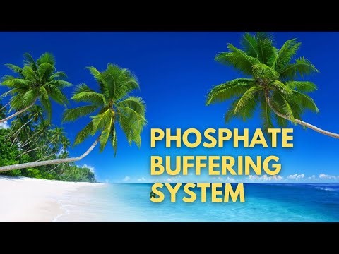 Phosphate Buffering System 